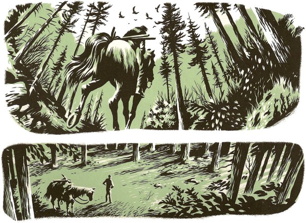 Plaatje_In_the_pinesB